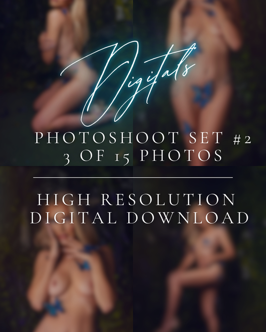 Amanda Fudgy Butterfly Photoshoot Set #2 (3 of 15) Digital Download