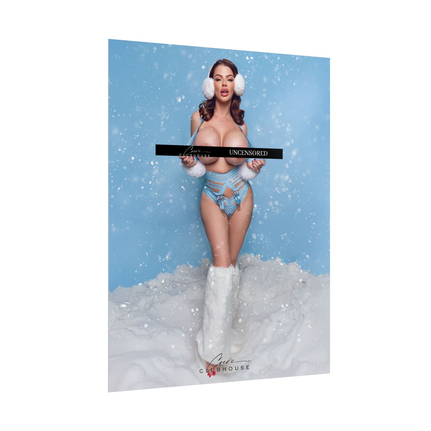Joslyn James Snow Bunny Blues Poster B